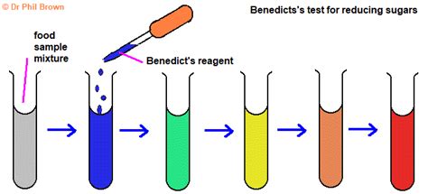 test for lipids sudan iii|Test for food chemicals with qualitative reagents .